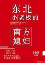 东北小老板的南方媳妇作者是谁