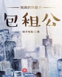 我真的只是个小说家